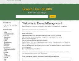 Exampleessays website preview